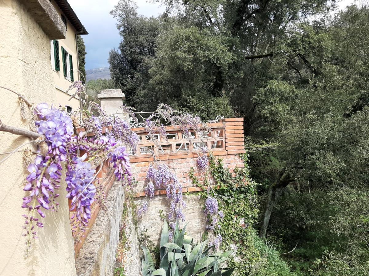 Villa Al Ponte Case Malva Kültér fotó