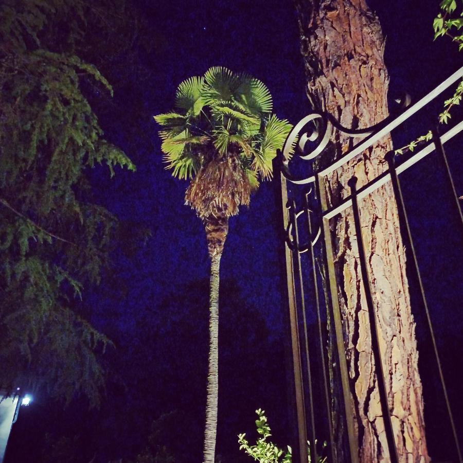Villa Al Ponte Case Malva Kültér fotó
